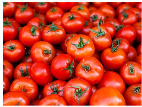 Round Red 100% Natural And Fresh A Grade Tomato, Use For Cooking Purpose  Moisture (%): 94.7%