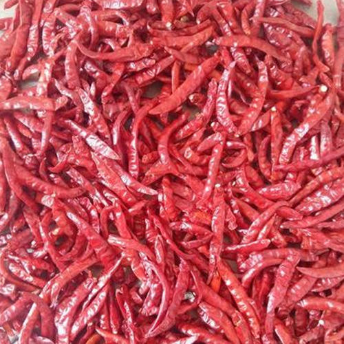  Aromatic And Flavourful Indian Origin Naturally Grown A Grade Indian Dry Red Chilli