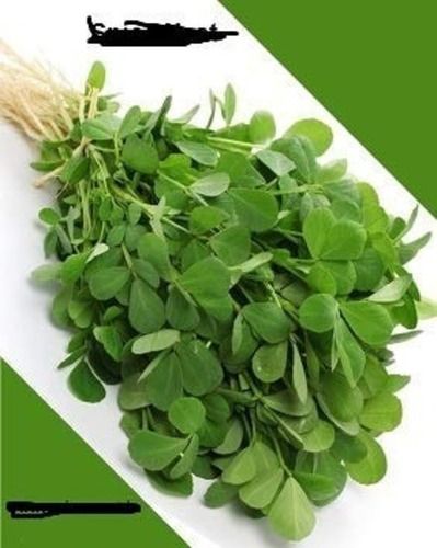 100% Fresh And Natural A Grade Fenugreek, Use For Cooking Purpose 