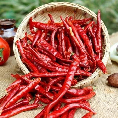 A Grade Aromatic And Flavorful 100% Pure Dry Red Chilli