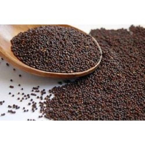 Aromatic And Flavourful Naturally Grown Healthy Brown Mustard Seeds