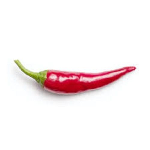 Grade A Chemical Free Natural Spicy Whole Fresh Red Chilli For Cooking