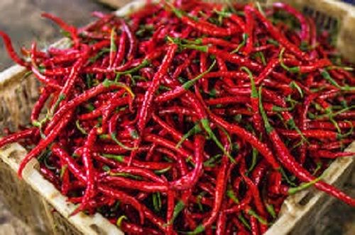 Grade A Chemical Free Natural Spicy Whole Red Chilli For Cooking