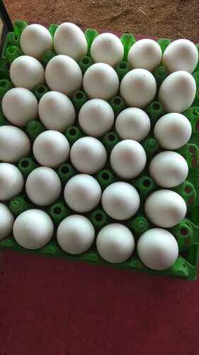 Healthy And Natural With 1 Months Shelf Life Oval Shape Fresh White Poultry Eggs 