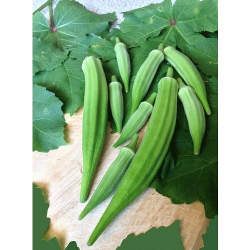 A Grade Rich In Iron And Protein Green Lady Finger, Healthy And Natural Preserving Compound: Raw