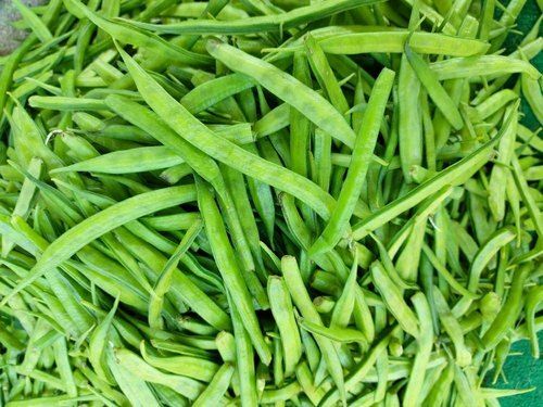 100% Pure Healthy Farm Fresh Indian Origin Naturally Grown Vitamins Rich Green Cluster Beans