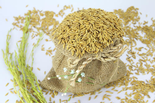 Carbohydrate Rich 100% Percent Pure And Naturally Pure Grown Raw Healthy Long Grain Paddy Rice