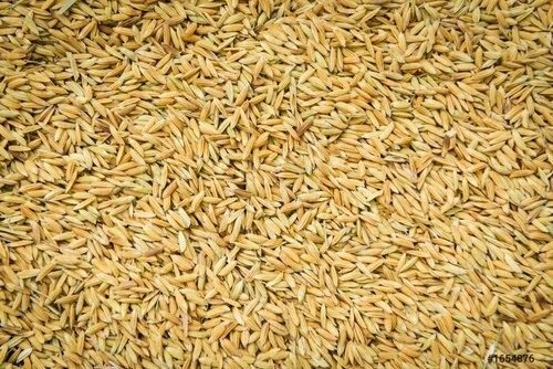 Carbohydrate Rich 100% Percent Pure Quality And Healthy Grown Medium Grain Brown Paddy Rice