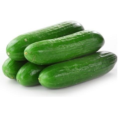 Farm Fresh Green Cucumber - Long Raw Vegetable Fresh with 2 Days Shelf Life Good for Health No Pesticides