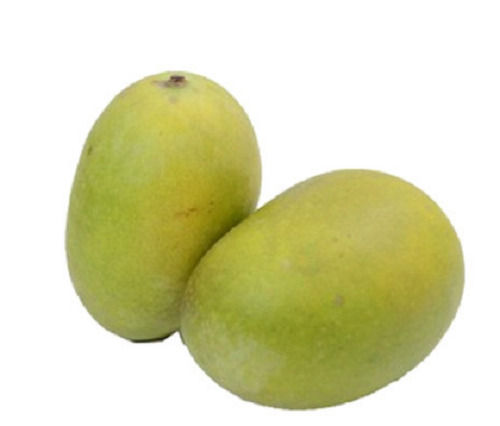Green And Delicious Tasty Ratnagiri Langra Mango With 5 Dozen Packaging Size 