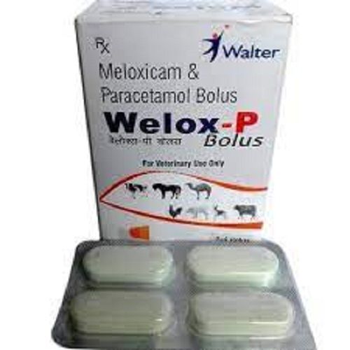 White Meloxicam And Paracetamol Bolus Tablet