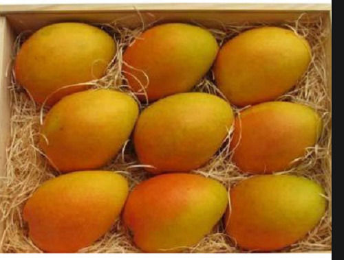 Yellow Food Grade Pure Natural And Delicious Sweet Banganapalli Mangoes 