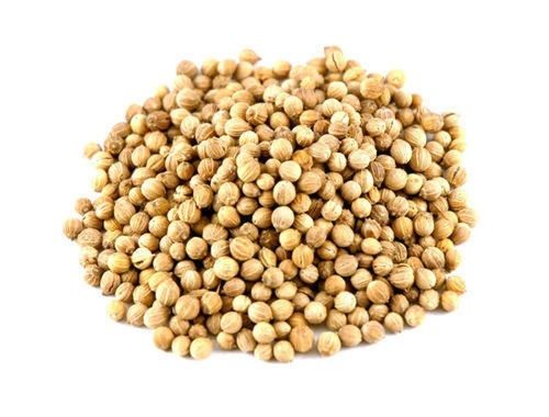 Dried Brown A Grade Round Shape Raw Coriander Seeds 