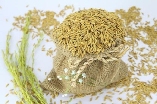 Farm Fresh Natural Healthy Carbohydrate Enriched Cooking Purpose Dried Long Grain Paddy Rice 