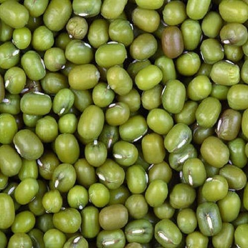 Common Healthy And Nutritious High In Fiber Protein And Antioxidants Whole Green Moong Dal