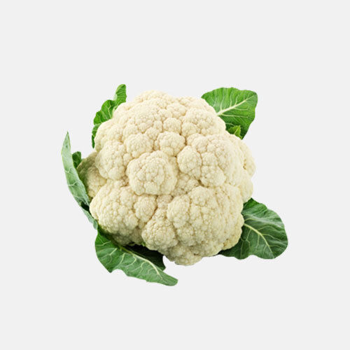 Healthy Antioxidants Nutrient-Dense High Fiber Minerals Abundant Vitamins Fresh Cauliflower