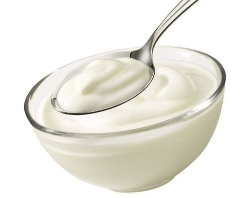 Low Fat Good In Taste Easy To Digest A Grade Natural White Fresh Curd Age Group: Adults