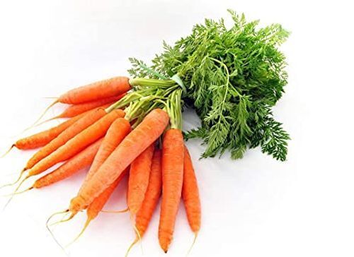 Sweet-Tasting Narrow & Cone Shaped Locally Grown Fresh Red Local Carrot
