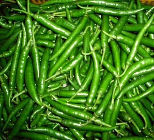 84.20 % Moisture Natural Pure Spicy Long Fresh Green Chillies, Pack Of 1 Kg