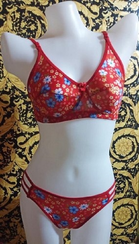 https://tiimg.tistatic.com/fp/1/007/773/ladies-printed-pattern-pink-color-silk-bra-panty-set-with-comfortable-elastic-618.jpg