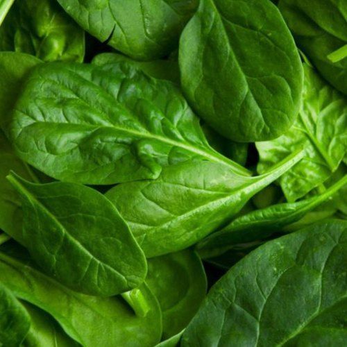 Tasty Nutrients Smoothies Wonderful Leafy Green Fresh Spinach 
