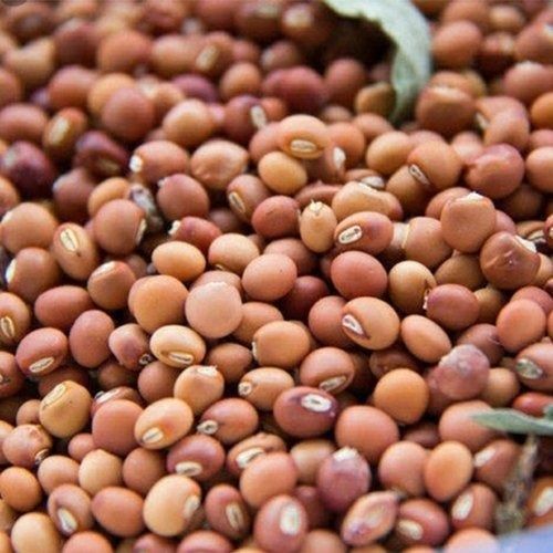 99.9% Pure High Quality Pigeon Peas Size 20 Grams 1 Year Of Shelf Life Admixture (%): 125