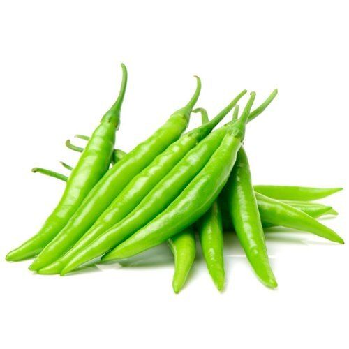 Healthy Naturally Grown Vitamins Enriched Antioxidants With Spicy Fresh Green Chilly 