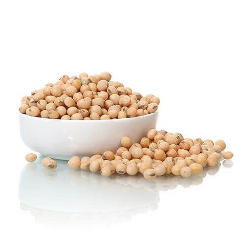 99% Pure A- Grade Normal Sized Round Shaped Naturally Grown Soya Beans 