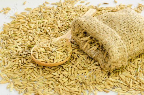 Brown Hybrid Rice Seed Packaging Aromatic Rice