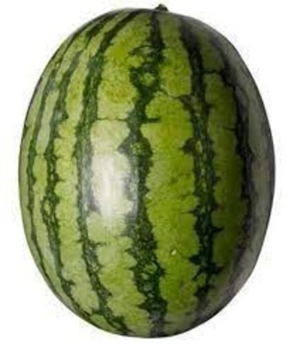 Fresh And Natural Round Shaped Juicy A Grade Watermelon