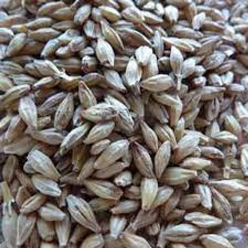 Brown Variety Of Nutrients Deep Scent Goodness Of Nature Organic Wheat Seeds