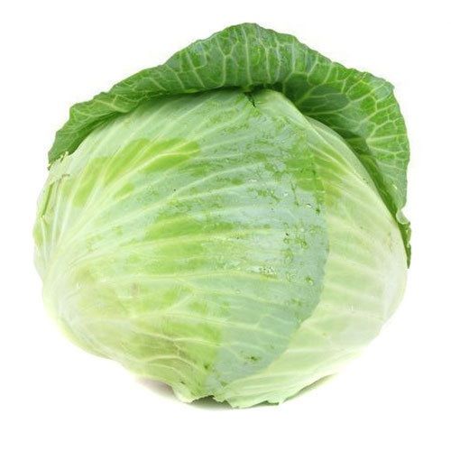 High In Vitamins K And C Dietary Fiber And Antioxidants Containing Fresh Cabbage Vegetable