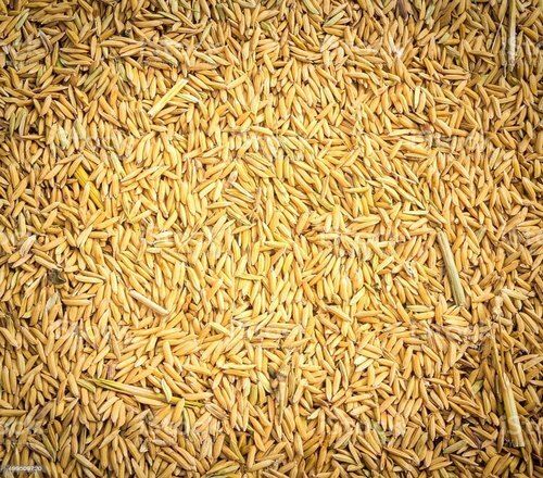 Rich Fiber And Vitamins Carbohydrate Healthy Tasty Naturally Grown 100% Pure Paddy Rice 