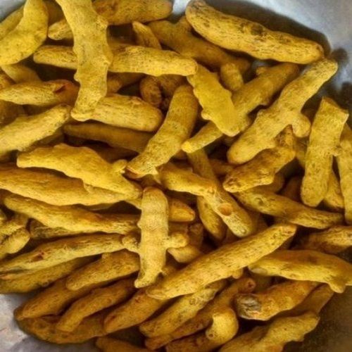 Yellow Dried Raw Handy Turmeric Finger In Granule Shape For Slicing And Dicing 