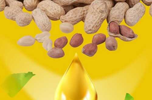 Common Edible And Pure Cold Pressed With Strong Fragrance Indian Origin Liquid Fresh Groundnut Oil