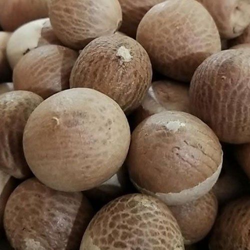 Indian Origin Naturally Grown Pure And Natural Brown And Fresh Well Dried Betel Nuts