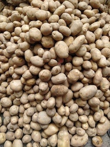 Brown A Grade Agra Fresh Potato ,Packaging Size 1Kg Pack Type Poly Bag Moisture (%): 83