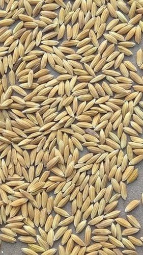 100% Pure Naturally Grown Vitamins And Minerals Enriched Medium Grain Paddy Rice 
