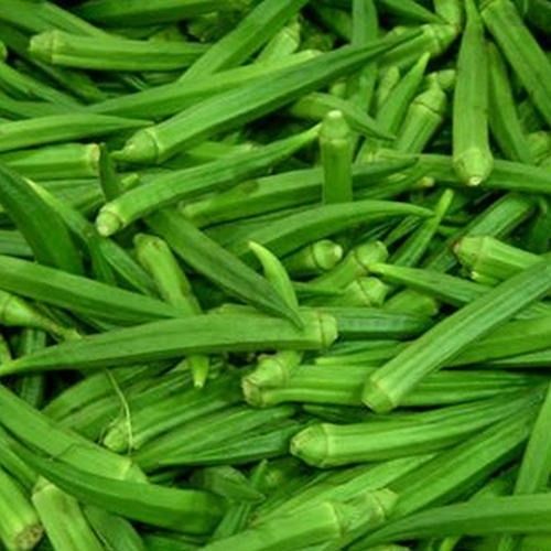 Fresh Green Lady Finger Organically Grown,Pack Size 1Kg Oblong Shape ,Packaging Type Poly Bag Moisture (%): 94