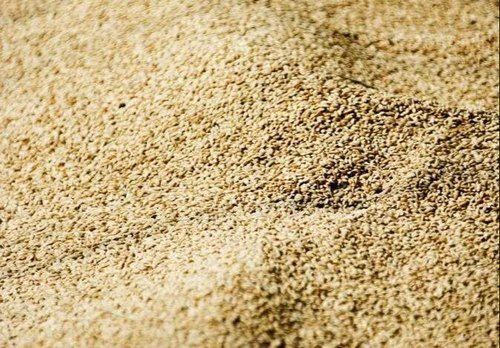 Brown Healthy Poultry Feed Rice Bran Powder