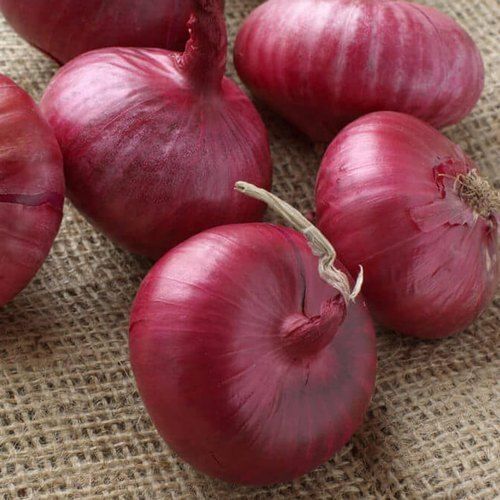 Farm Fresh Healthy Round Shape Naturally Grown Red Onion