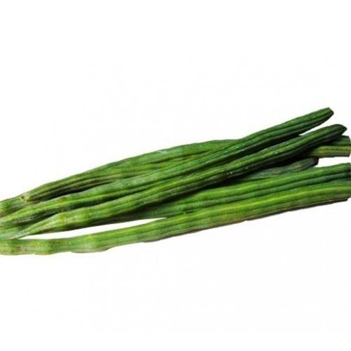 Green Long Shape Farm Fresh Naturally Grown Drumsticks 