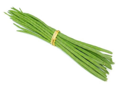 Green Long Shaped Raw Fresh Drumsticks 