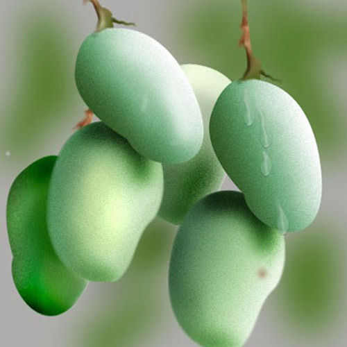  स्वस्थ प्राकृतिक फार्म ताजा भारतीय मूल के विटामिन प्राकृतिक रूप से उगाए गए हरे आम 