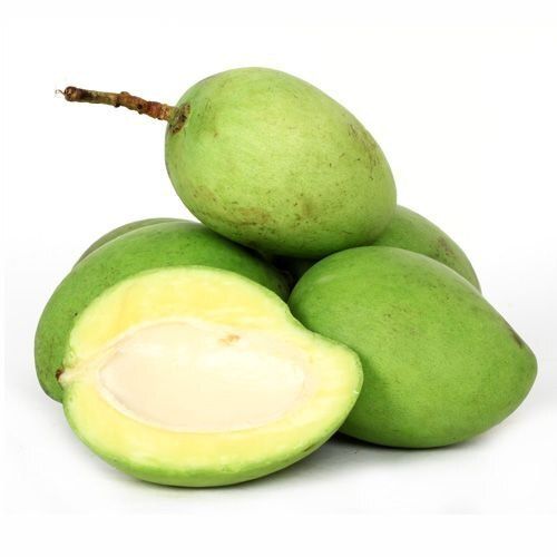 Naturally Grown Rich In Vitamins And Minerals A Grade Fresh Raw And Sour Green Mango Fruit