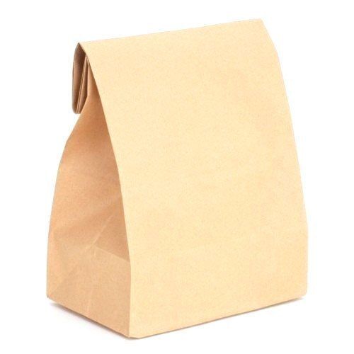 Biodegradable And Reusable With Light Weight Brown Paper Carry Bag For Shopping