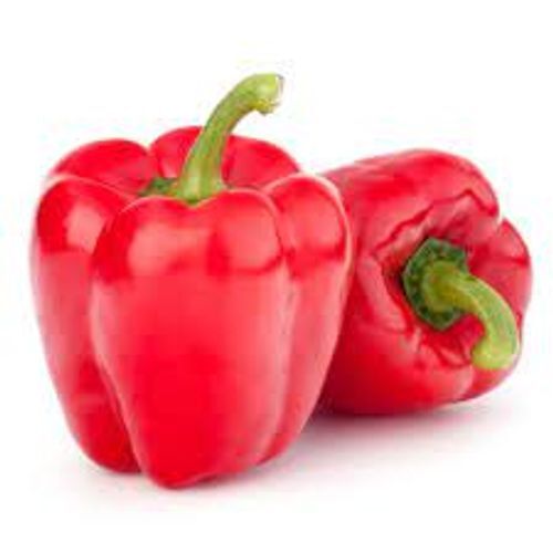 Naturally Harvested High Vitamin Raw Fresh Red Capsicum  Moisture (%): Bell Pepper And Moisture