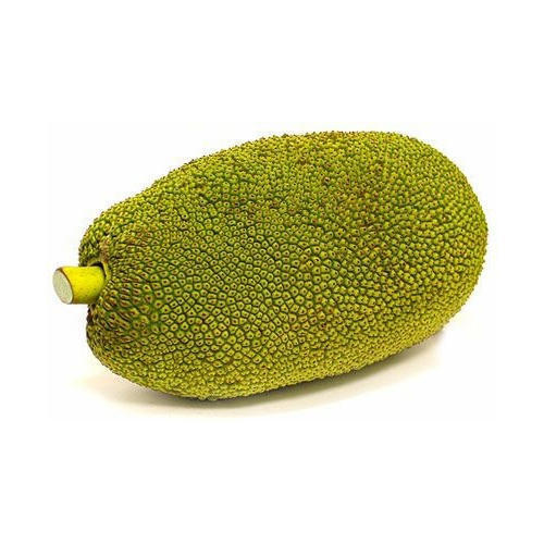 Oval Natural Fresh High Vitamins Rich Green Jack Fruit