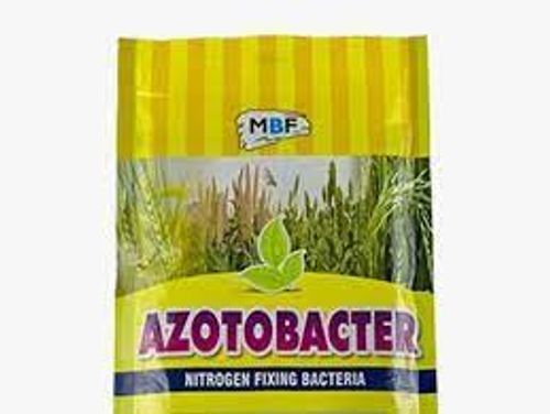 फार्म में शानदार परिणामों के लिए उच्च गुणवत्ता वाला उत्पाद फ्रीलांसर Azotobacter Biofertilizer 