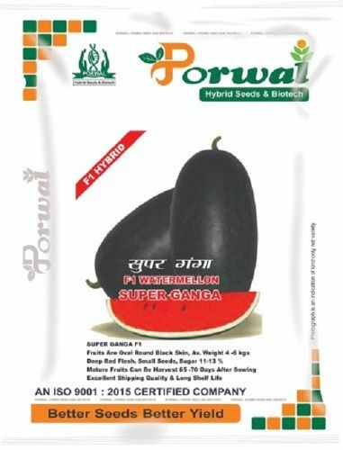 No Added Preservatives No Artificial Color Rich In Protein Watermelon Seeds For Agriculture Use Admixture (%): 0.5%Max